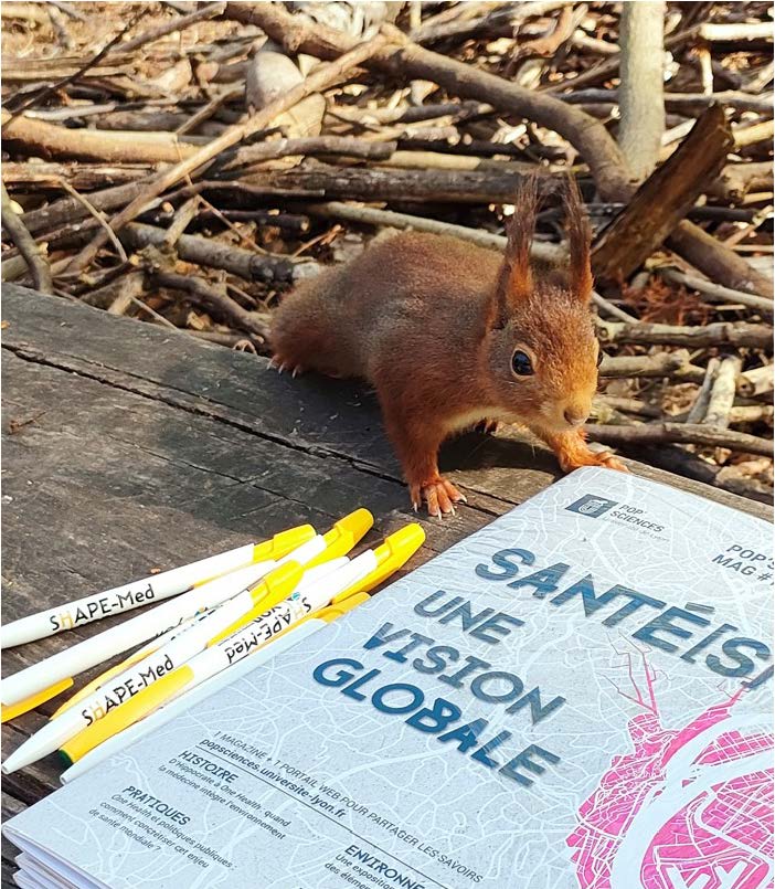 Illustration_animation